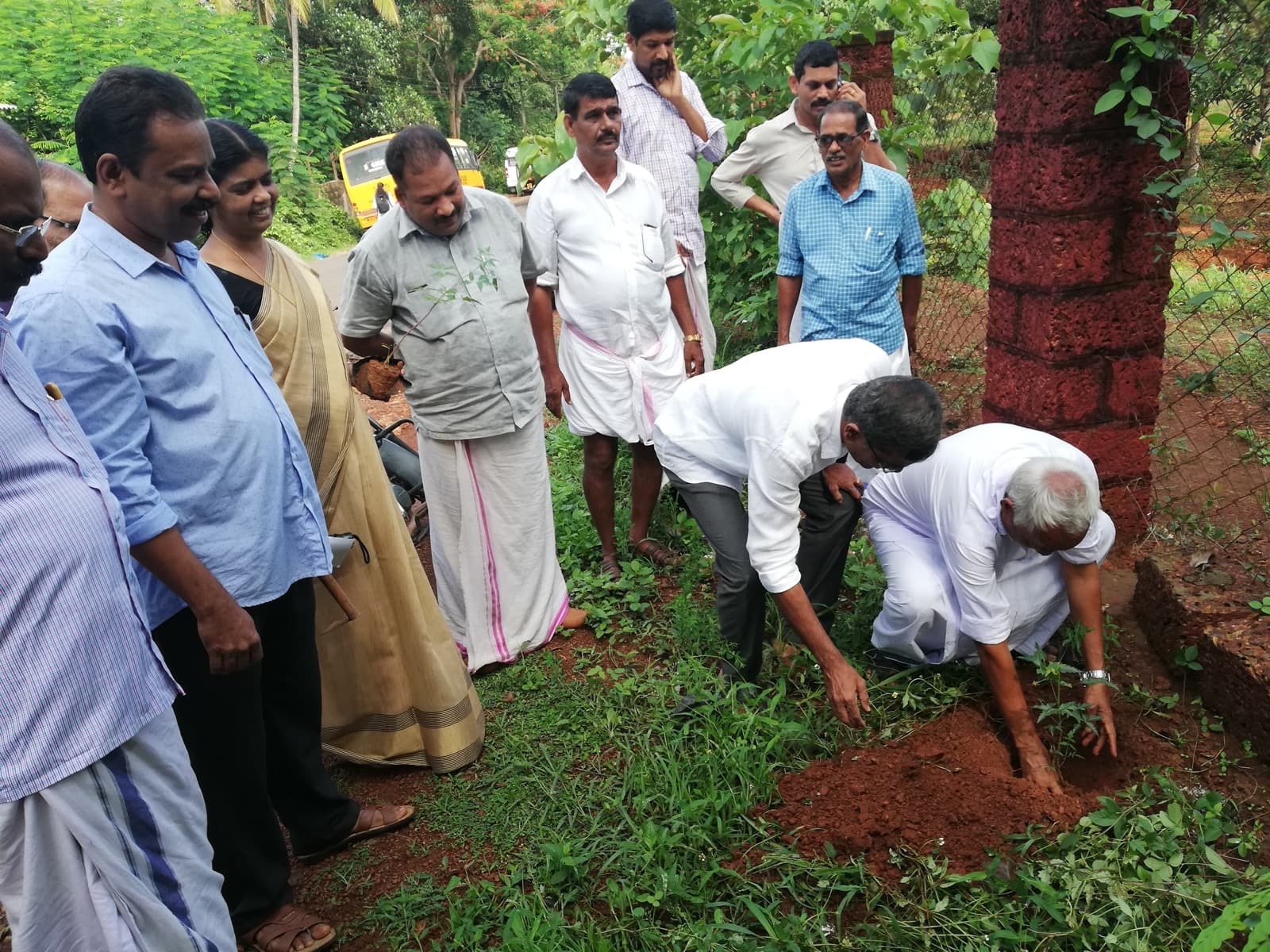 Sapling Plantation Drive