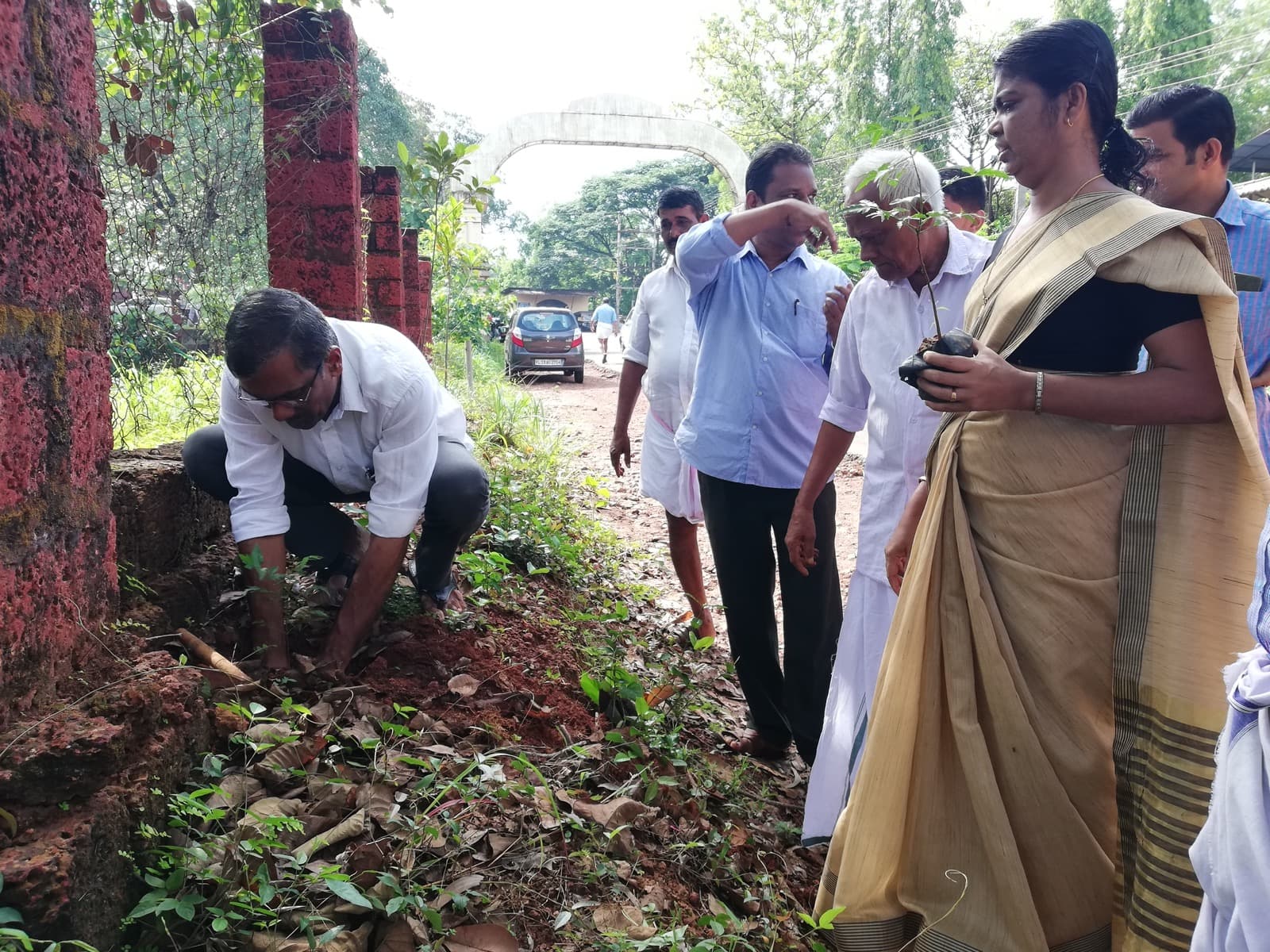 Green Co-operation Tree Planting
